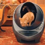 Choosing the Best Clumping Litter for Automatic Litter Boxes for a perfect cleanup