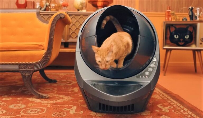 Choosing the Best Clumping Litter for Automatic Litter Boxes for a perfect cleanup